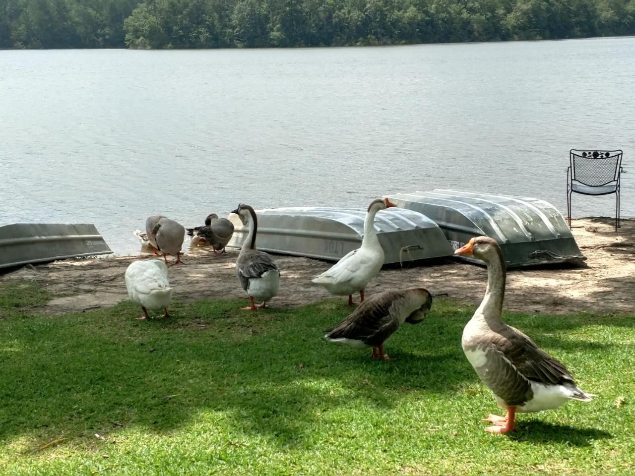 Lake Tiak - O'Khata Resort Louisville المظهر الخارجي الصورة